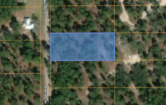 1.01 Acre Gem in Dunnellon, FL – Power on Paved road – Your Cozy Space Within the City!