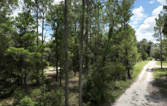 0.78 Acres Bronson FL. 3 different lots partially cleared with great access, electricity on the lot line.