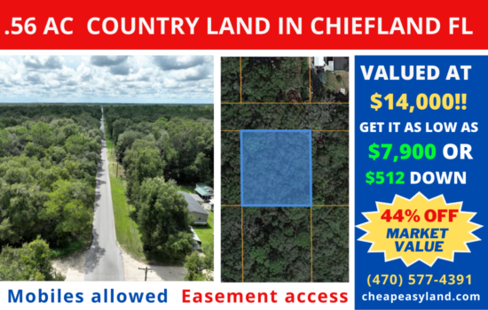 0.94 Acre Lot in Chiefland, FL! 0.56 & 0.38 Acre Lot Combined! Great Investment!