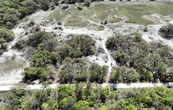 5.6 Acre Lot in Dixie County, Florida! Open a New Chapter in your Life!
