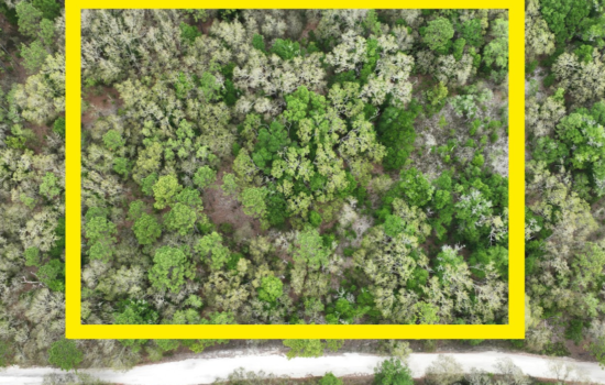 PENDING!! 2.5 Acre Lot in Levy County, FL! Enjoy Nature in Rural Florida!