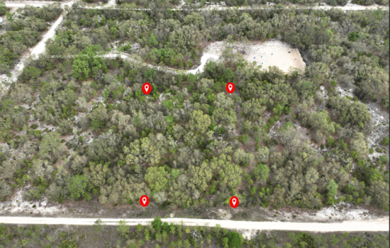 PENDING!! 1.25 Acre Lot in Levy County, FL! Enjoy Nature in Rural Florida!