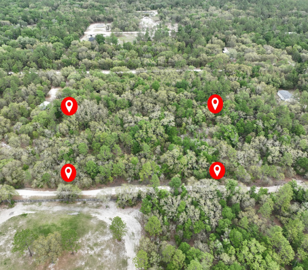 Pending 25 Acre Lot In Levy County Fl Enjoy Nature In Rural Floridaowner Financed Land In 9421