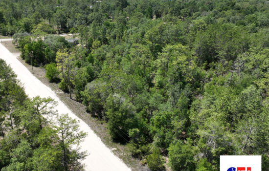 0.83 Acre Lot in Williston, FL! Electricity on Lot line!