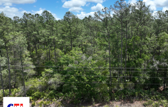 1.75 Acre Lot For Sale in Idyllic Inglis, FL – Off of Highway 19 – Old Mobile Home on Property