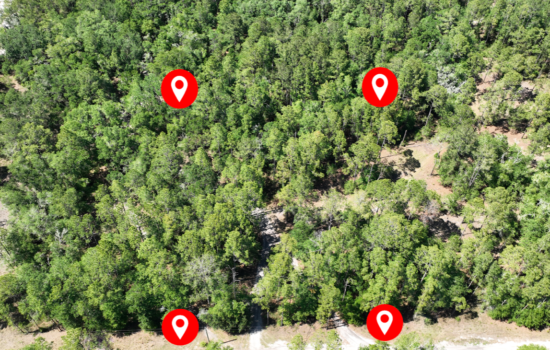 PENDING!! 1.25 Acre Woodland Lot for Sale in Levy County!