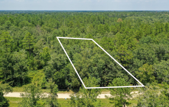 1.2 Acres in Hamilton County, FL – Beautiful Subdivision