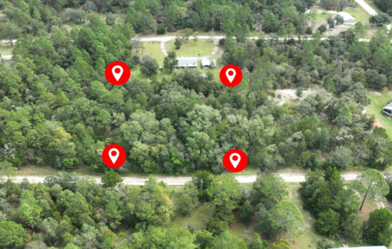 PENDING!! 1 Acre Wooded Lot in Williston, Florida! – No Building Timeline – Invest in Your Future!