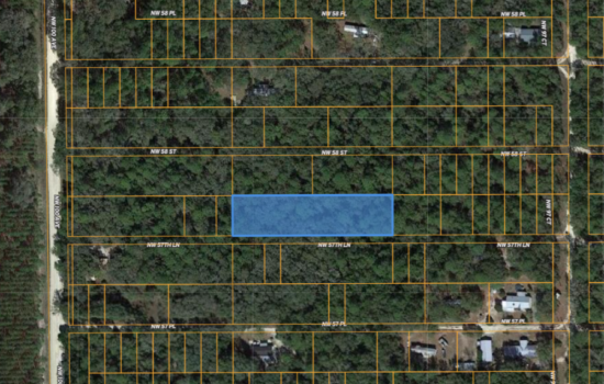 0.92 Acre Lot in Levy County, FL! Enjoy Nature in Rural Florida!