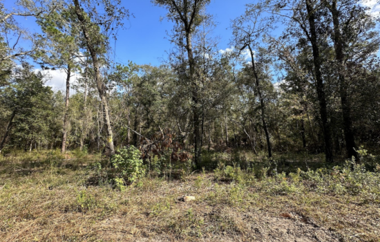 0.62 Acre Lot in Hamilton County, FL – Partially Cleared!