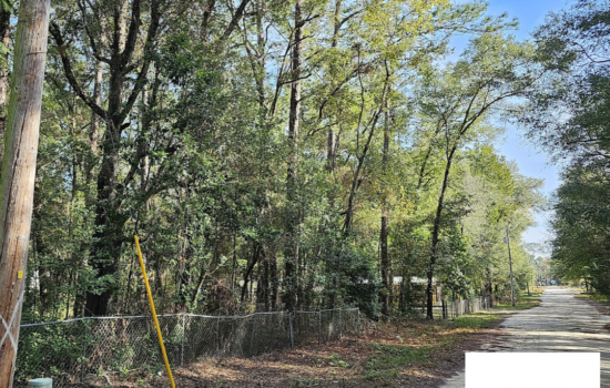 0.24 Acre Lot in Levy County, FL – Fenced!