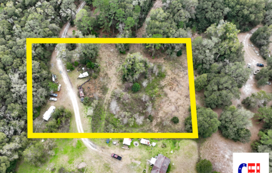 2.0 Acres in Morriston, FL. Cleared with cattle fence, easy driveway access, high and dry. Hear elephants from the property. What’s not to like?!