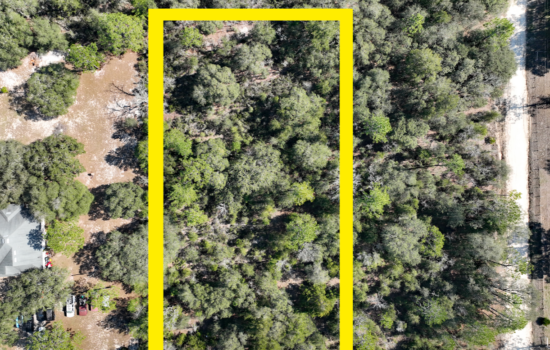 1.25 Acre Located in Levy County, FL! – Bronson
