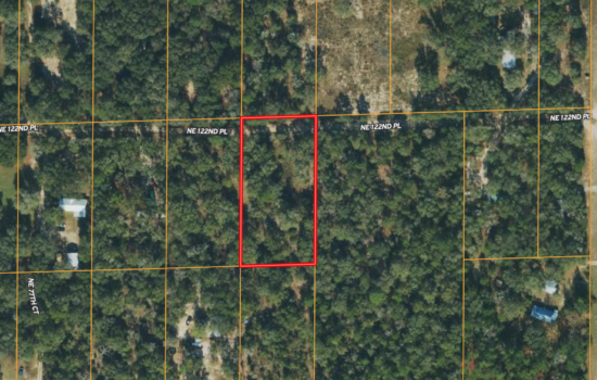 1.25 Acre Lot in Bronson, Florida – Surround Yourself with Nature – Escape the City!