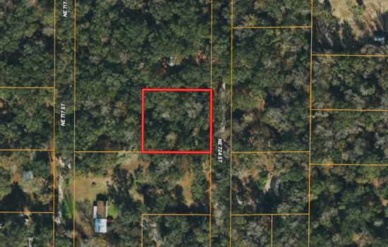 0.85 Acre Lot Near Suwannee River – Off of Road 349 and Close to River Trails!