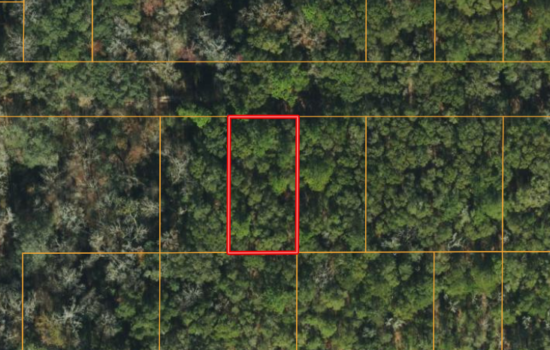 0.23 Acre Lot in Live Oak, Florida – Steps Away From The Suwannee River
