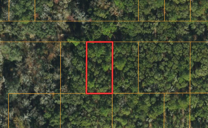 0.23 Acre Lot in Live Oak, Florida – Steps Away From The Suwannee River
