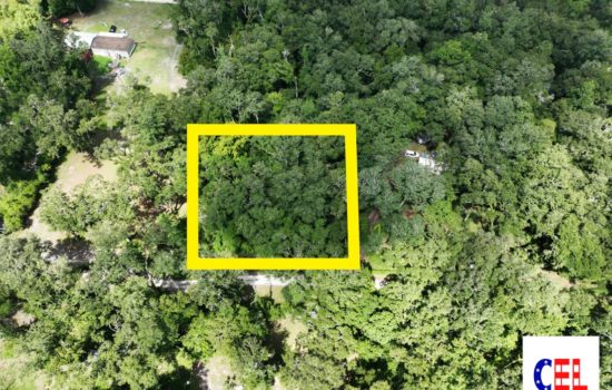 0.85 Acre Lot Near Suwannee River – Off of Road 349 and Close to River Trails!