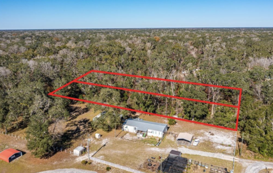 2 Acre – 2 separate 1 acs in Dixie, FL! Lower down payment! Needs some clearing work