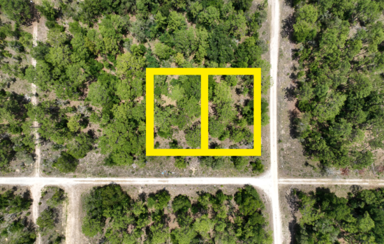 PENDING!! Your Perfect 0.46-Acre Residential Lot in Levy, FL – Your Ideal Home Awaits!