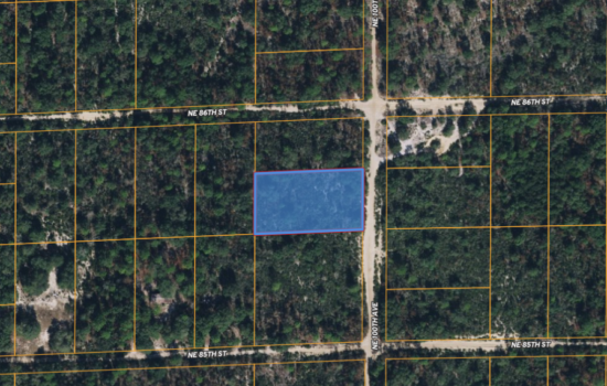 1.25-Acre Outside Bronson, FL! The Simple Life Awaits! Close to Ocala and Gainesville. Mobile Homes Allowed!