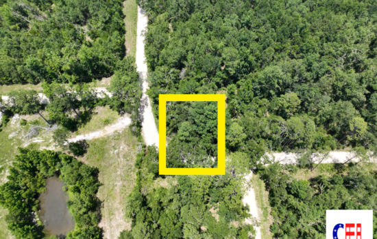 0.3-Acre Residential Lot in Hamilton, FL – Your Gateway to Tranquil Living!