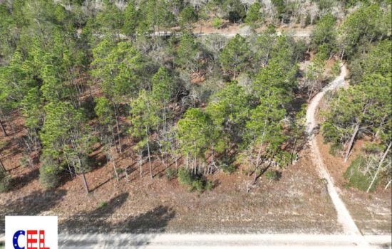 Build your home in this 0.25-acre secluded flatlands in Levy County!