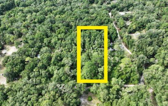 Perfect Balance of Nature and Convenience in this Charming 1.25 Acre located in Levy, County FL.