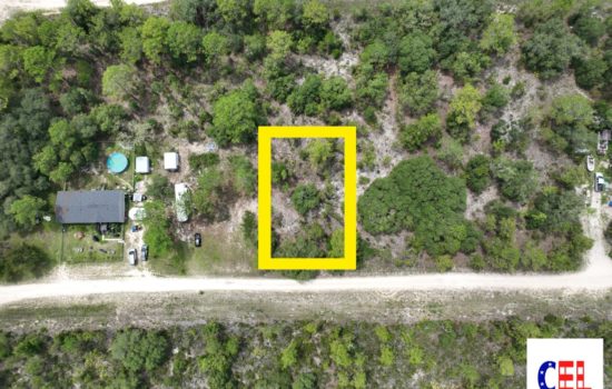 SOLD!! Serene 0.24-Acre Lot in Levy County, FL – Perfectly Located Near Gainesville