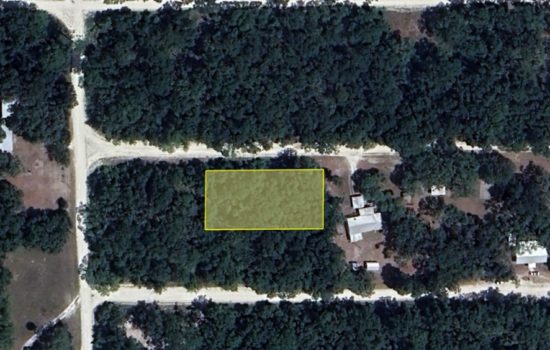 Embrace Tranquility with 0.46 Acres in Dixie County, FL!