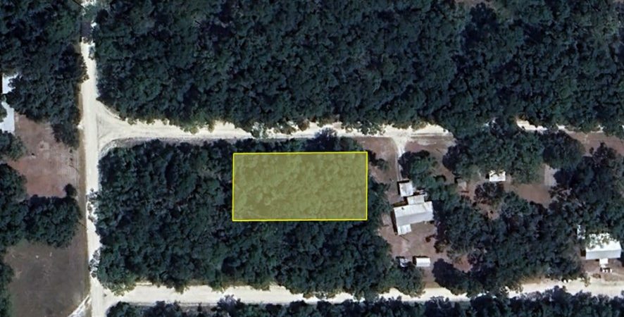 Embrace Tranquility with 0.46 Acres in Dixie County, FL!