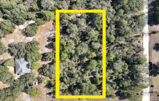 Your Gateway to Nature Awaits in this 1.25 Acre Located  in Levy County, FL!