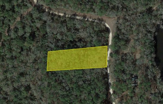 Where Dreams Take Root: Find Inspiration on a 1-acre Scenic Wooded Lot in Madison County, Florida!